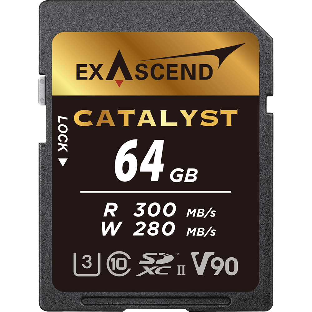 sd-v90-64gb-square.png EX64GSDU2