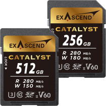 sd-catalyst-v60-512g-256g-lineup
